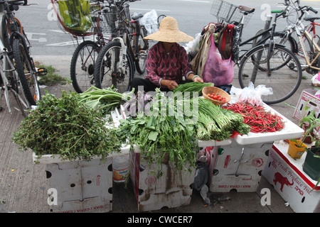 Vietnamese woman selling vegetables sur la chaussée du quartier chinois de Toronto, août 2012 Banque D'Images