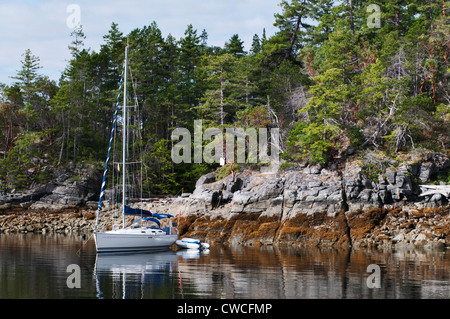 Un voilier est ancré sur le rivage de l'île de vison dans la Desolation Sound sur une belle journée ensoleillée. Banque D'Images