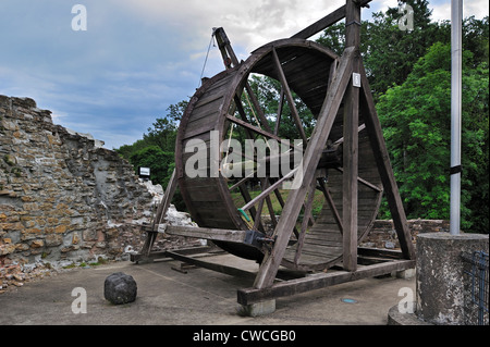 Treadwheel en bois grue en ruines de château médiéval Château de Franchimont à Theux dans l'Ardenne belge, Wallonie, Belgique Banque D'Images