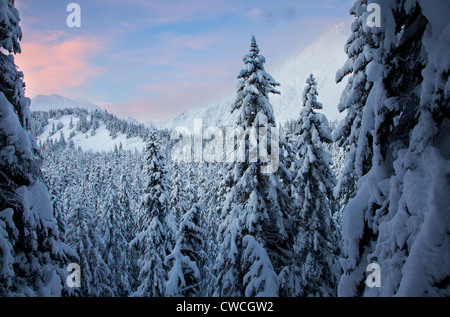 Du sentier du Lac Perdu dans la forêt nationale de Chugach, hiver, en Alaska. Banque D'Images