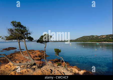 Plage de palombaggia près de Portovecchio, Corse, France Banque D'Images