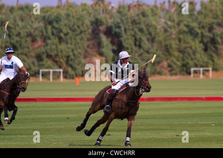 Joueurs de Polo à l'Empire Polo Club, Indio, en Californie. Banque D'Images