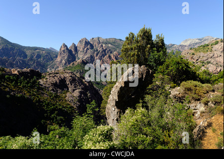 Spelunca-Canyon La rivière de Porto, Corse, France Banque D'Images