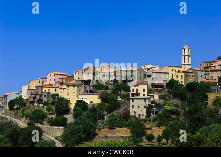 Zilia dans la Balagne, Corse, France Banque D'Images