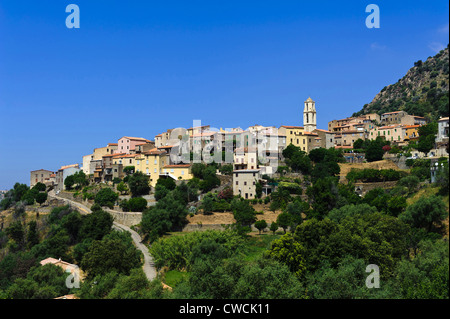 Zilia dans la Balagne, Corse, France Banque D'Images