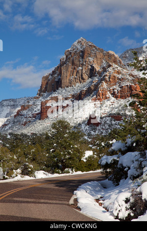 Hiver neige sur Schnebly Hill Road, Coconino National Forest, Sedona, Arizona. Banque D'Images
