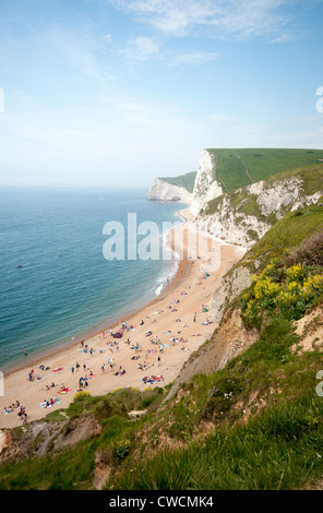 La vue le long de la côte jurassique de Durdle Door près de crique de Lulworth, Dorset, England, UK Banque D'Images