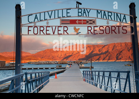 Callville Bay Marina, Lake Mead National Recreation Area, près de Las Vegas, Nevada. Banque D'Images