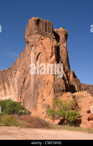 Elk288-1239v Arizona, Canyon de Chelly National Monument, le Canyon del Muerto, paysage Banque D'Images