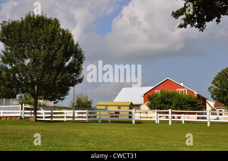 Ferme Amish, comté de Lancaster, Pennsylvanie, USA Banque D'Images