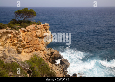 Ibiza, paysage sur la côte est Banque D'Images