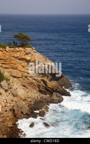 Ibiza, paysage sur la côte est Banque D'Images