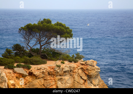 Ibiza, paysage sur la côte est Banque D'Images