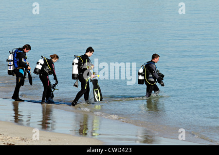 Groupe de plongeurs de peau entrant dans l'eau de la plage Banque D'Images