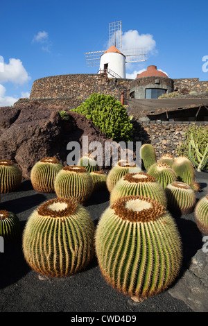 Jardin de cactus (Cactus Garden) avec moulin Banque D'Images