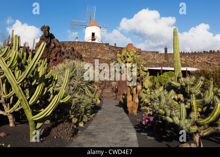 Jardin de cactus (Cactus Garden) avec moulin Banque D'Images