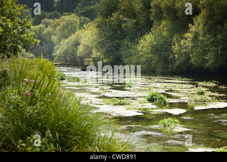 Les mauvaises herbes de la rivière et de passerelle au-dessus de la rivière bordée d'Itchen Banque D'Images