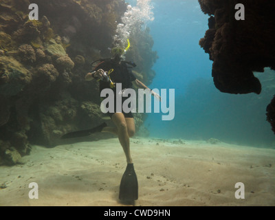 Plongée sous marine avec appareil photo nage dans un tunnel sur la Grande Barrière de Corail, en Australie. Banque D'Images