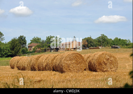 Bottes de foin dans une ferme dans le Lot Région de South West France Europe Banque D'Images