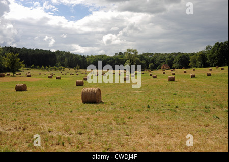 Bottes de foin dans une ferme dans la région de Lot et de la Dordogne, Sud Ouest France Europe Banque D'Images