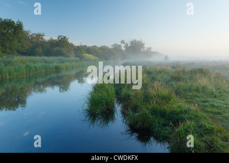 L'Marshcourt River (affluent de la rivière Test) et marais commun (National Trust) près de Stockbridge. Le Hampshire. L'Angleterre. UK. Banque D'Images