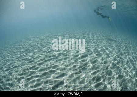 Un plongeur explore une pente de sable blanc à proximité d'une plage au large de Guadalcanal (Îles Salomon). Banque D'Images