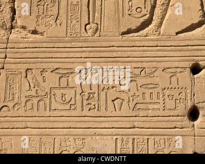 Bague Romaine T52 près de Luxor temple dédié à Hathor, qui était un site gréco-romain utilisé par la reine Cléopâtre, célèbre pour son signe astrologique Banque D'Images