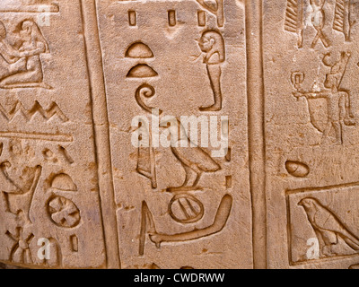 Bague Romaine T52 près de Luxor temple dédié à Hathor, qui était un site gréco-romain utilisé par la reine Cléopâtre, célèbre pour son signe astrologique Banque D'Images