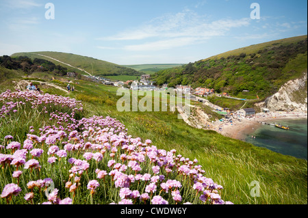 Crique de Lulworth Cove, Dorset, England, UK Banque D'Images