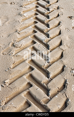 L'empreinte du tracteur sur le sable de la plage de Laredo, Cantabrie, Espagne Banque D'Images