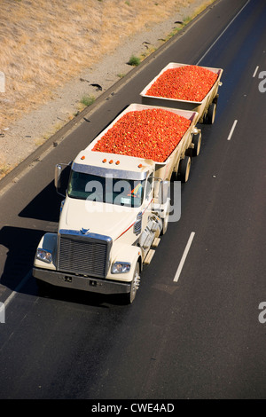 Un camion de transport transporte fruits dans le désert Banque D'Images