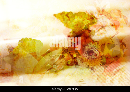 Feuilles jaunes, Image Composite Banque D'Images