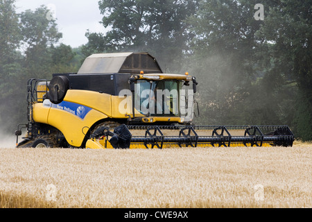 New Holland CR9080 combine Harvester récolter une culture en Août Banque D'Images