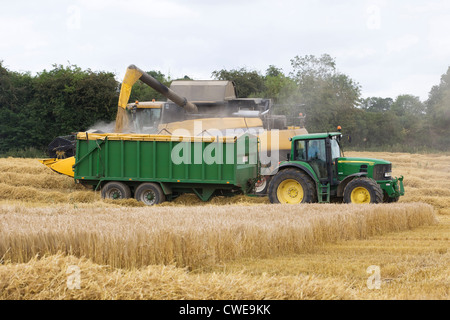 New Holland CR9080 combine Harvester récolter une culture en Août Banque D'Images