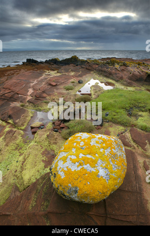 Bloc erratique sur grès. Pirate's Cove, près de Corrie, au nord de l'île d'Arran, Aryshire, Ecosse, Royaume-Uni. Banque D'Images