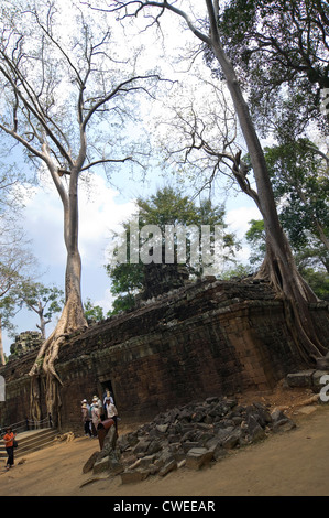 Vue verticale de la ruines à Ta Prohm temple à Siem Reap. Banque D'Images