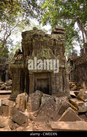 Vue verticale des ruines à l'intérieur de Ta Prohm aka Rajavihara ou l'Tomb Raider temple à Angkor Thom, au Cambodge Banque D'Images