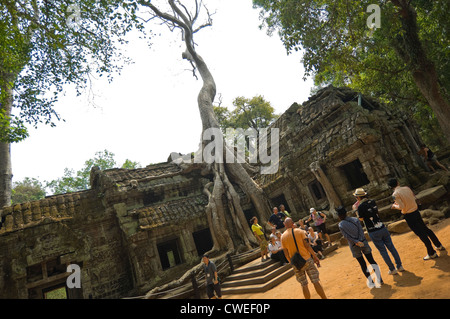 Vue horizontale de l'étrange Ta Prohm aka Rajavihara ou Tomb Raider le temple à Angkor. Banque D'Images