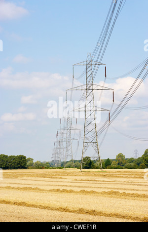 Pylônes électriques dans la campagne Banque D'Images