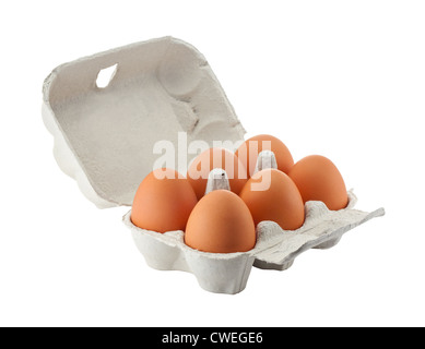 Oeuf en carton fort avec six oeufs brun isolé avec clipping path Banque D'Images