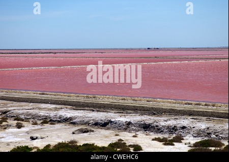 Salines de Salin-de-Giraud dans la réserve naturelle de Camargue, France Banque D'Images