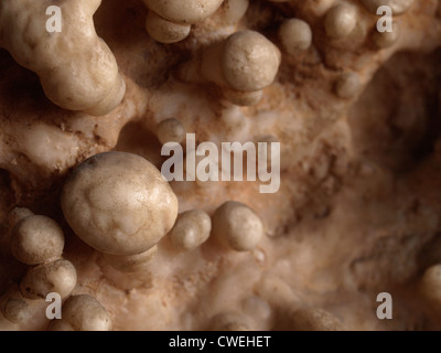 L'aragonite flos-ferri ou 'fleurs de fer' ; Huttenberg, Autriche Banque D'Images