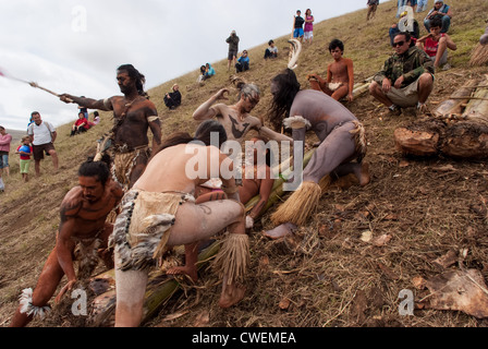 Préparation de course sur le volcan sur traîneau bananier comme le principal responsable de l'acclamations rider- Haka Pei - Île de Pâques Banque D'Images