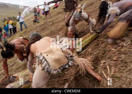 Préparation de course sur le volcan sur bananier - traîneau Haka Pei - Île de Pâques Banque D'Images