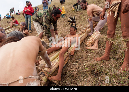 La préparation de la tribu petit enfant de glisser vers le bas sur le volcan bananier - traîneau Haka Pei - Île de Pâques Banque D'Images