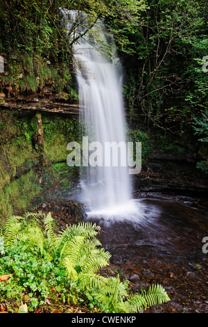 Cascade de Glencar, County Leitrim, Connaught, l'Irlande. Le poète Yeats a visité et a écrit à propos de cette cascade. Banque D'Images