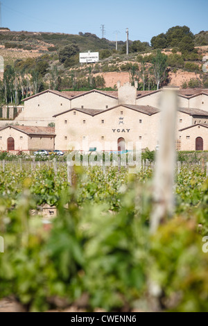 16/5/12 Marqués de Murrieta Ygay Winery, Finca, Logroño, La Rioja, Espagne. Banque D'Images