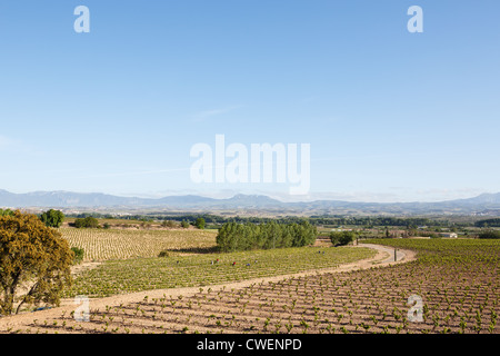 16/5/12 Marqués de Murrieta Ygay Winery, Finca, Logroño, La Rioja, Espagne. Banque D'Images