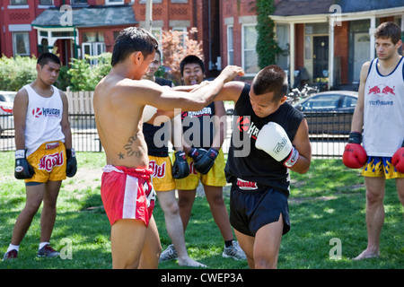 Un groupe de jeunes hommes et femmes pratiquent à l'extérieur dans un parc de la ville ou de Muay Thai Boxe Arts Martiaux dans Toronto;Ontario;Canada Banque D'Images