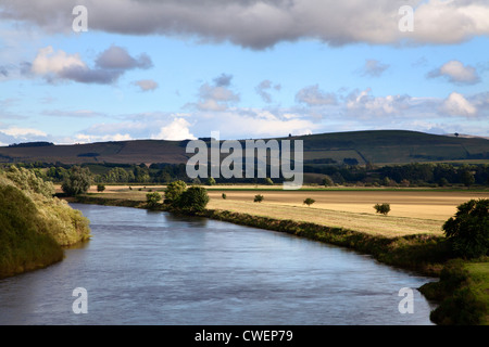 La lumière du soleil du soir de champs par la rivière Tweed de Henderson Park Coldstream, Scottish Borders Ecosse Banque D'Images